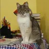 Отзыв от Роза Анохина